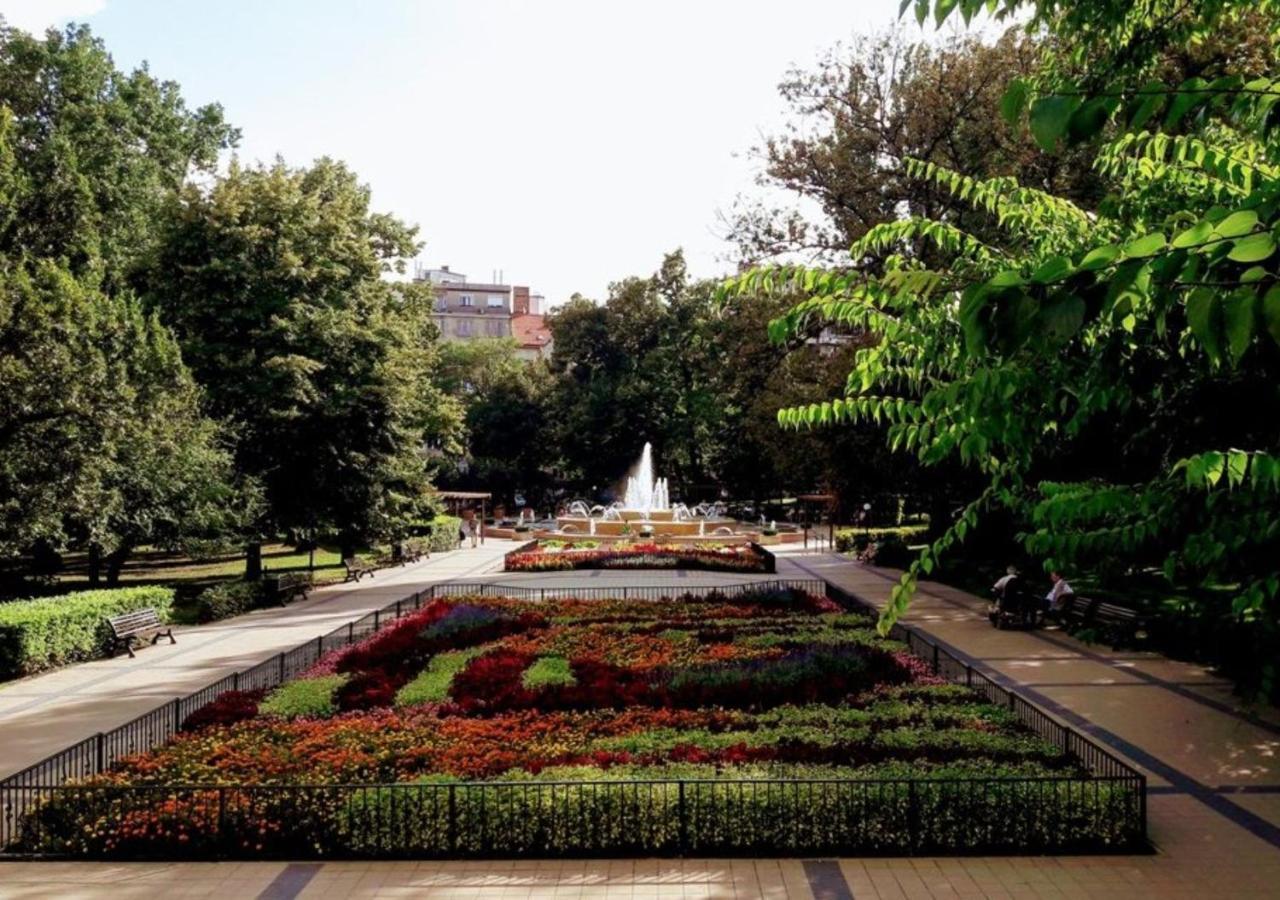 Beautiful Spacious Three-Room Suite Close To Buda Castle Budapest Eksteriør billede